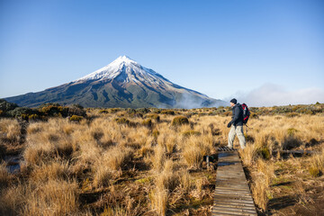 backpacker hiking the pouakai circuit on boardwalk among golden tussocks. mt taranaki in the backgro