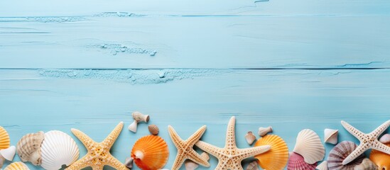 Summer Beach Background with Shells and Starfish