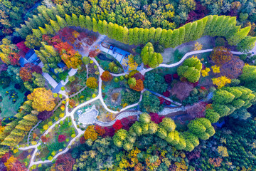 Wall Mural - Aerical view of colorful autumn foliage at Incheon Grand Park, Korea