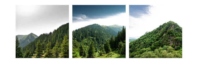 Aufkleber - Three isolated views of lush green mountain slopes with dense foliage and hints of blue sky.