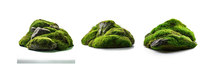 Poster - Three isolated mossy rocks with white background.
