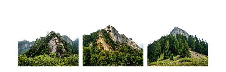 Poster - Three vertical frames showcase a panoramic view of mountains and forest.