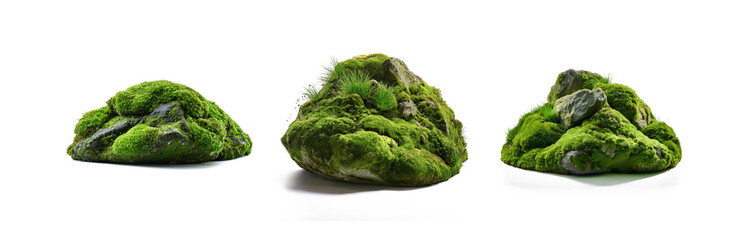 Poster - Three moss covered rocks, isolated on a white background.