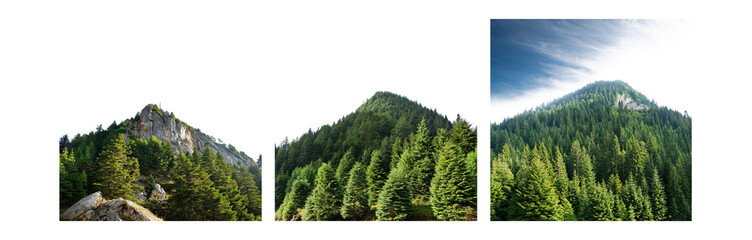 Aufkleber - A collage of three images showing a mountain covered in pine trees under a blue sky with white clouds.