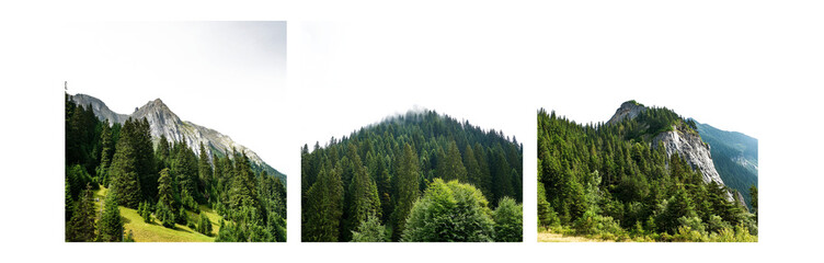 Aufkleber - Three vertical images showing mountain peaks with dense forest coverage.