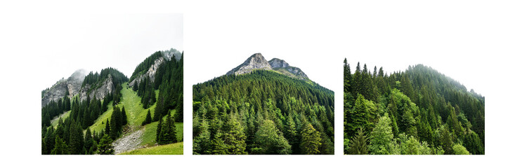 Aufkleber - A mountain peak, shrouded in mist, rises above a lush forest of evergreen trees.