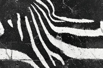 abstraction of  zebra texture  , copy space for text,