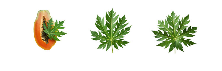 Aufkleber - A papaya slice and two papaya leaves are isolated against a white background.