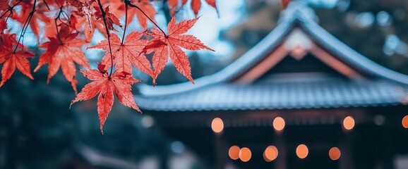 Poster - Beautiful autumn maple leaves in sunlight from Tokyo, Japan. Natural autumn landscape with autumn colors.