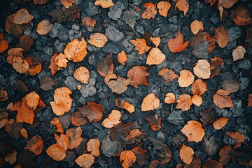 Poster - Background of yellow leaves falling from a tree in autumn