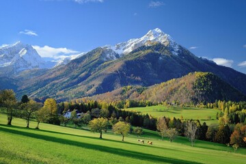 landscape in the mountains