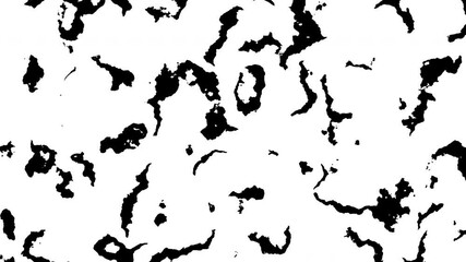 Poster - Abstract fluid and wave loop background in black and white