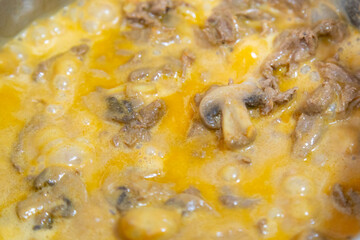 Traditional filet mignon stroganoff with mushrooms, French fries and rice