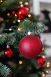 © cff999 - a red ornament on a christmas tree