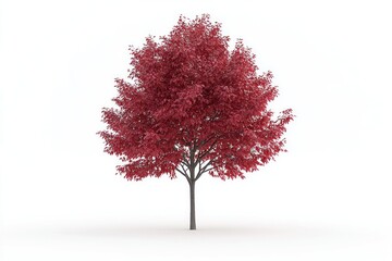 A red tree stands alone on a white background