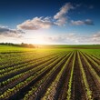 © Donald - agriculture landscape outdoors nature