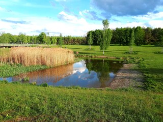 lake in the park, beautiful landscape