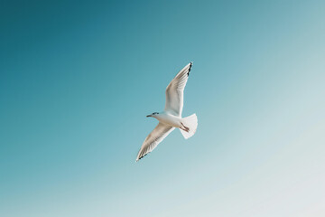 A solitary bird flying in a clear blue sky