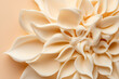 © Anastasia - A minimalistic display of dense cream resembling soft floral petals against a gentle peach background evokes elegance and creativity