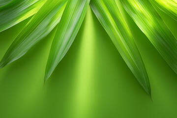 Wall Mural - Vibrant green leaves creating a lush background with natural light illuminating soft textures