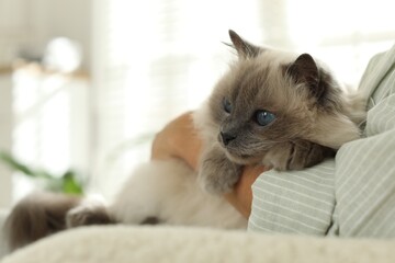 Sticker - Woman with cute kitten at home, closeup