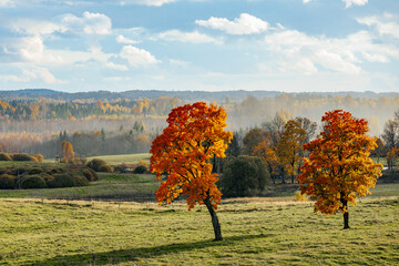 A picturesque autumn landscape featuring two vibrant orange-red trees standing in a green meadow. The background showcases rolling hills and distant forests with colorful fall foliage