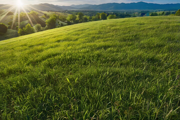 Wall Mural - Realistic outdoor green grass ground field mountain hill public park and cloud and blue sky background with blur background in concept of freshness, growth, environment ecology and sustainablility