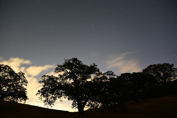 Wall Mural - stars