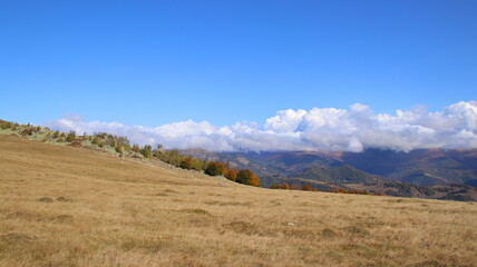 Wall Mural - landscape with sky