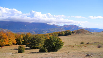 Wall Mural - autumn in the mountains