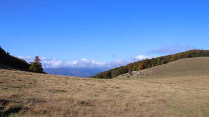 Wall Mural - landscape with sky