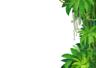 tropical jungle lianas background border line. vector branches of forest palm trees, rainforest lian