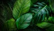 © Donald - creative layout made of tropical leaves flat lay nature concept