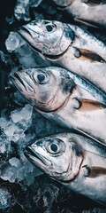 A close up of a fish with its head down. The fish is surrounded by ice