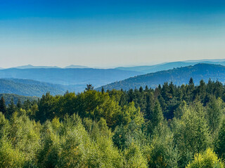 The landscape of Carpathian Mountains in the sunny weather. Perfect weather condition in the summer season