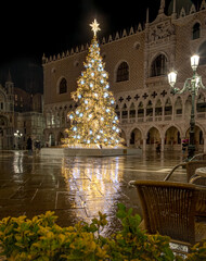 Christmas tree at San Marco square in Venice