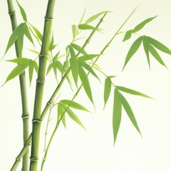 Wall Mural - Watercolor Bamboo Illustration Green Leaves Nature Botanical Asian Zen Minimalist Art Nature