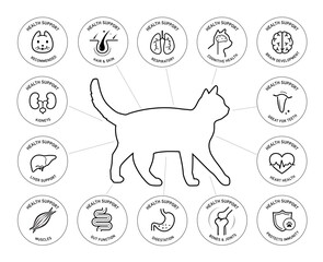 a set of icons for cat. the components of a dog's health. the outline icons are well scalable and ed