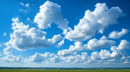 Canvas Print - Puffy Clouds Over Open Field