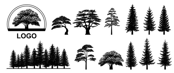 pine and oak tree silhouette. set of icons with black figures of spruce, pine, wild forest trees and