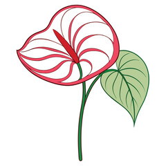 Sticker - Anthurium Line Art Botanical Vector
.