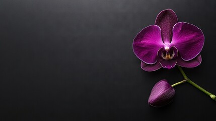 Wall Mural -   A lilac bloom atop a table beside scissors on paper