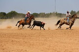 Team Roping Practice with Dun Stallion