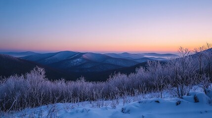 Sticker -   A picturesque mountain range bathed in sunset hues, dotted with a few trees and bushes in the foreground