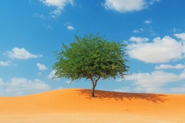 A lush green tree contrasts with the vivid orange sand dunes and blue sky filled with scattered clouds