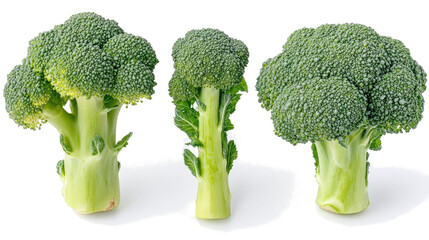 Poster - Collection of Fresh Broccoli Florets Arranged on a White Surface Generative AI