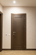 © Роман Котиков - Modern apartment interior showcasing a sleek brown door design and minimalist wall detail in soft lighting for a fresh living space atmosphere