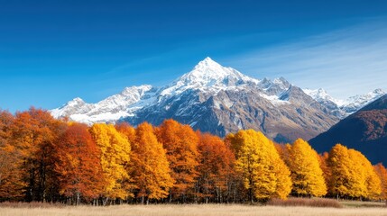 A vivid display of fiery autumn colors set beneath sharp, snow-white mountain peaks, capturing the essence of natural beauty in a crisp, clear landscape view.