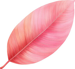 Wall Mural - Pink Leaf Illustration  Botanical Art  Nature Design Element