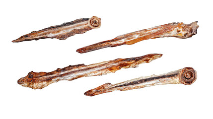 Poster - Collection of Ancient Debris Fragments Isolated on a White Background Generative AI
